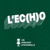 Image / illustration