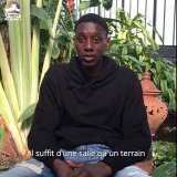 Image / illustration