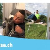 Image / illustration