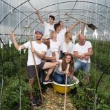 Image / illustration