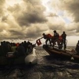 Image / illustration