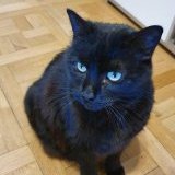 Image / illustration