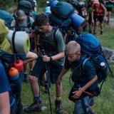 Image / illustration