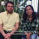 Image / illustration