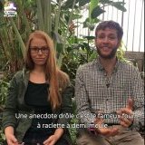 Image / illustration