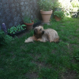 Image / illustration