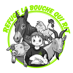 Image / illustration