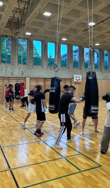 Image / illustration