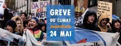 Image / illustration