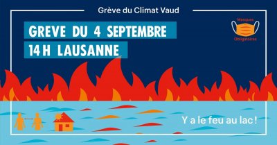 Image / illustration