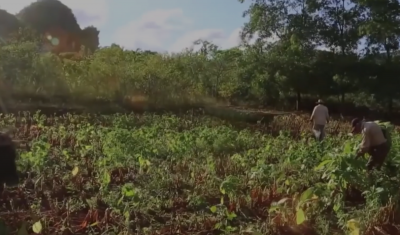 Image / illustration