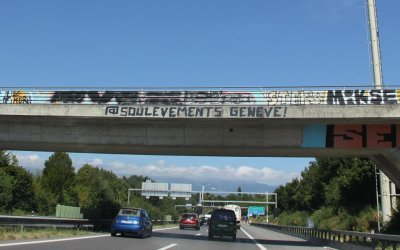 Image / illustration