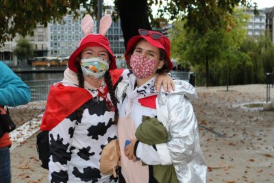 Image / illustration