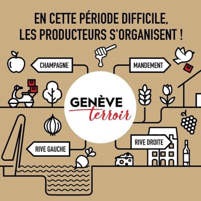 Image / illustration