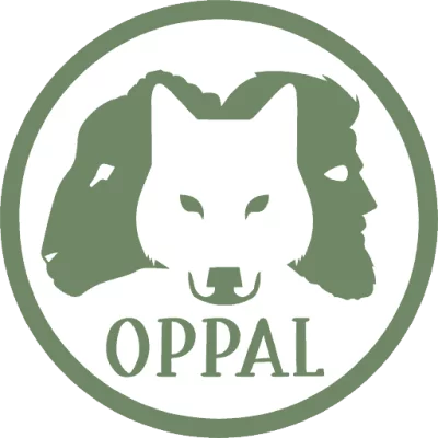 Image / illustration