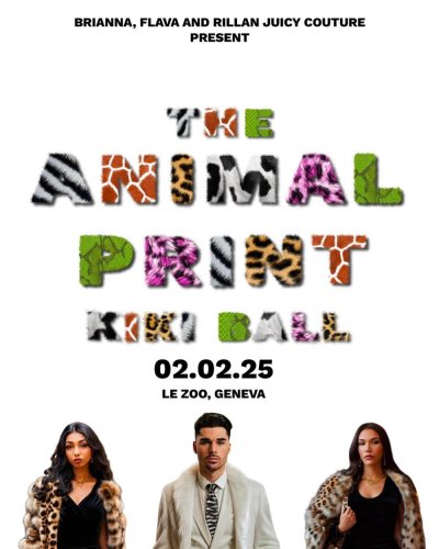 Image / illustration