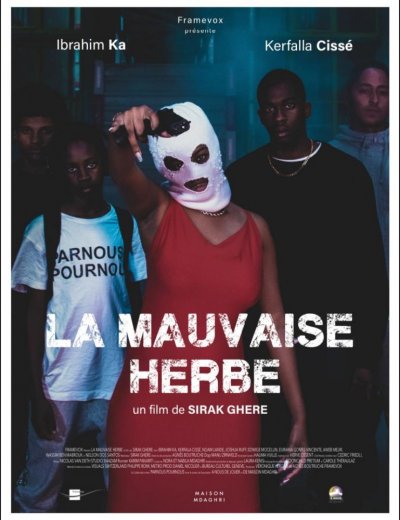 Image / illustration