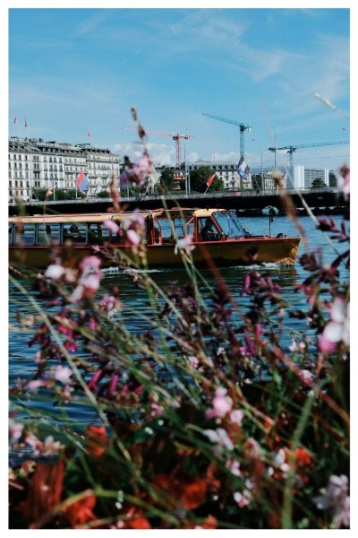 Image / illustration