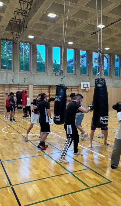 Image / illustration